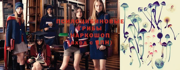 амф Алексеевка