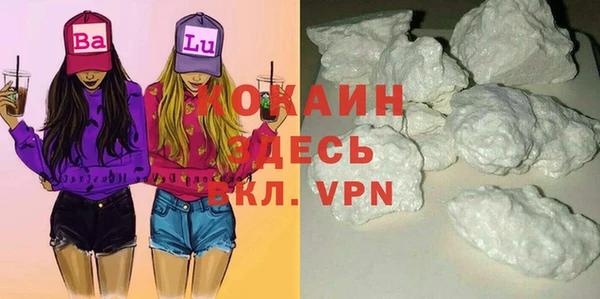 крисы Алексин