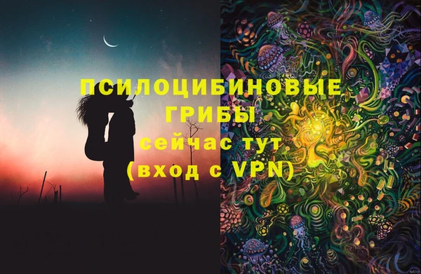 крисы Алексин