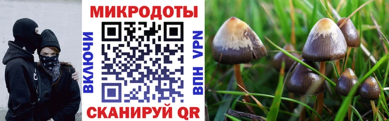 Галлюциногенные грибы Cubensis  Раменское 